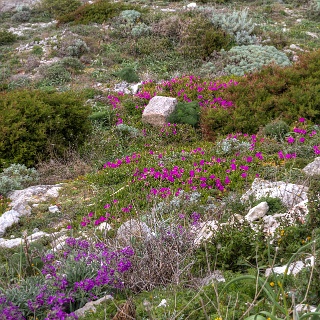 0003_IMG_2193_hdr_Corse_corse_bonifacio