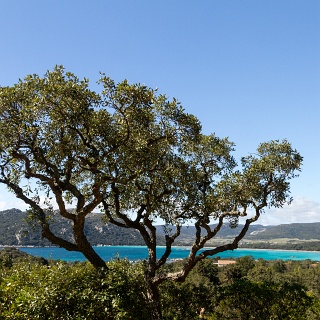 0003_IMG_2087_Corse_santa_giulia