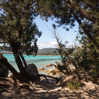 0004_IMG_2089_Corse_santa_giulia