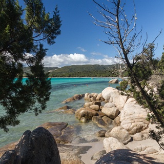 0006_IMG_2091_Corse_santa_giulia
