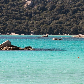 0008_IMG_2093_Corse_santa_giulia