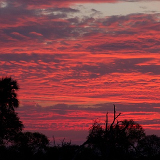 10_0140_IMG_8435_Botswana