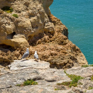 0010-_F7A3448-Algarve