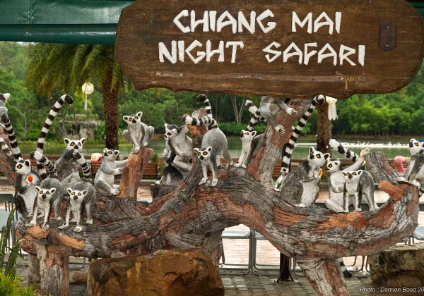 7. Chiang Mai - Night Safari