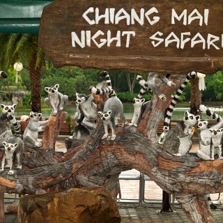 0003_I7D_5316_Night_Safari