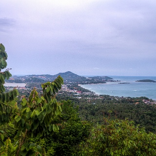 0007__7D_4098_hdr_Jungle_Club
