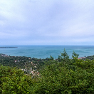 0008__7D_4101_hdr_Jungle_Club