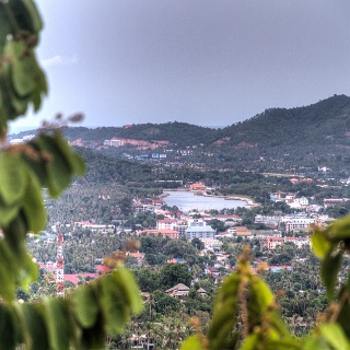 0009__7D_4107_hdr_Jungle_Club