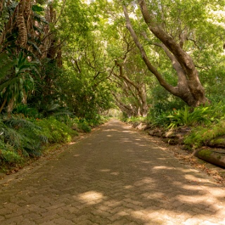 0002-_F7A2143-Cape_Town