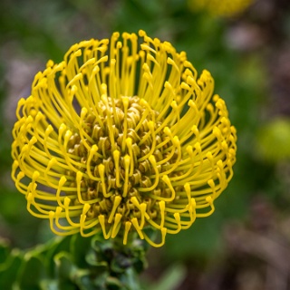 0006-_F7A2166-Modifier-Cape_Town