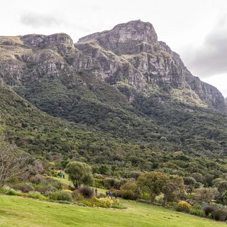 0007-_F7A2168-Modifier-Cape_Town