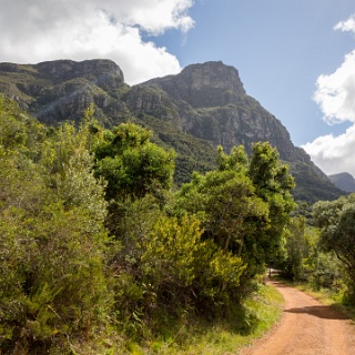 0008-_F7A2189-Cape_Town