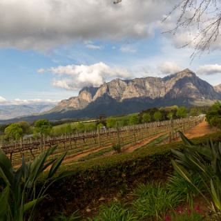 0001-_F7A2438-Stellenbosch_Wine_Road
