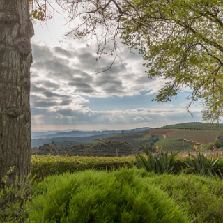 0002-_F7A2440-HDR-Stellenbosch_Wine_Road