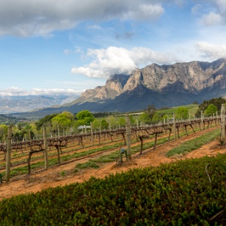 0003-_F7A2448-HDR-Stellenbosch_Wine_Road