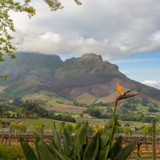 0004-_F7A2452-HDR-Stellenbosch_Wine_Road