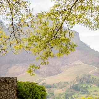 0006-_F7A2461-Stellenbosch_Wine_Road
