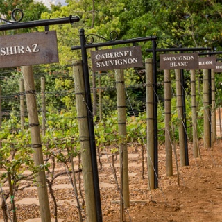 0007-_F7A2463-Stellenbosch_Wine_Road