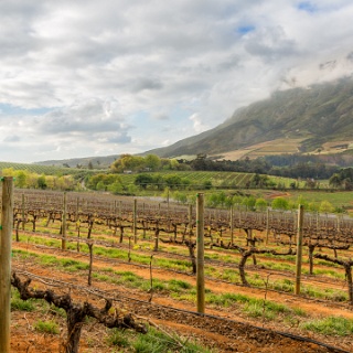 0008-_F7A2467-HDR-Modifier-Stellenbosch_Wine_Road