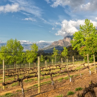 0009-_F7A2469-HDR-Modifier-Stellenbosch_Wine_Road