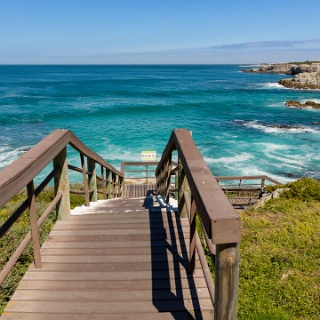 0001-_F7A2538-Garden_Route