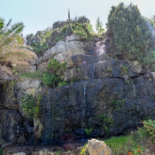0003-_F7A2542-Garden_Route