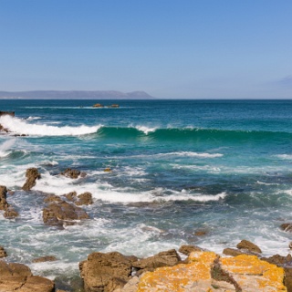0005-_F7A2555-Garden_Route