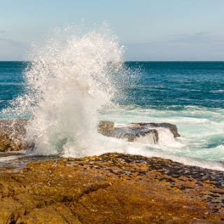 0010-_F7A2583-Garden_Route
