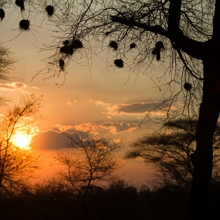 0001_IMG_4851_Matetsi