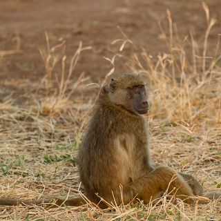 0002_IMG_4857_Matetsi