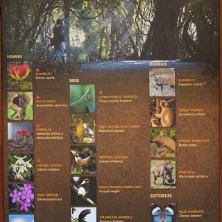 0007_IMG_5169_VictoriaFalls