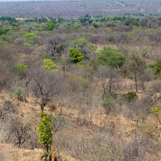 0243_IMG_5392_Botswana