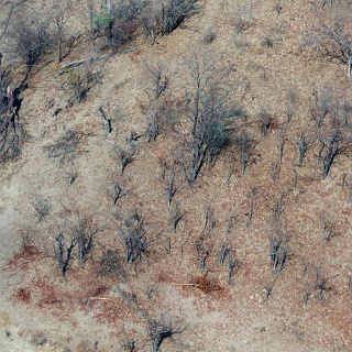 0244_IMG_5393_Botswana