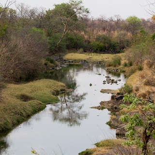 0406_IMG_5903_Botswana