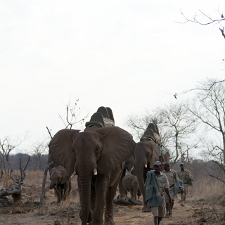 0407_IMG_5907_Botswana