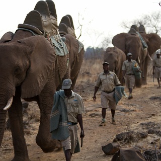 0409_IMG_5910_Botswana