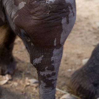 0412_IMG_5927_Botswana