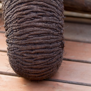 0413_IMG_5934_Botswana