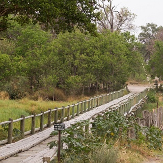 0001_IMG_6376_Botswana_Moremi