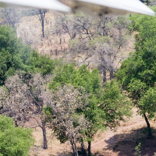 0003_IMG_7472_Botswana_Nxabega