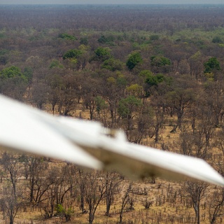 0004_IMG_7473_Botswana_Nxabega