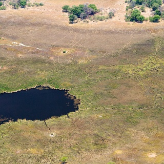 0005_IMG_7474_Botswana_Nxabega