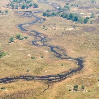 0007_IMG_7477_Botswana_Nxabega