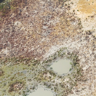 0008_IMG_7478_Botswana_Nxabega