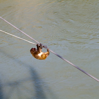 0010_IMG_1760_Rishikesh