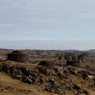 0010_IMG_0145_Perou
