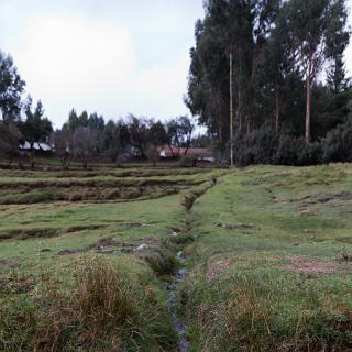 0006_IMG_0697_Perou