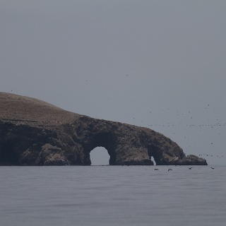 0003_IMG_8707_Perou