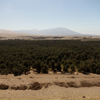 0002_IMG_8957_Perou