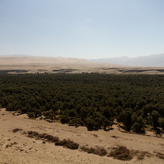 0003_IMG_8960_Perou